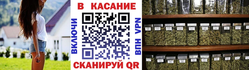  COCAIN Апатиты