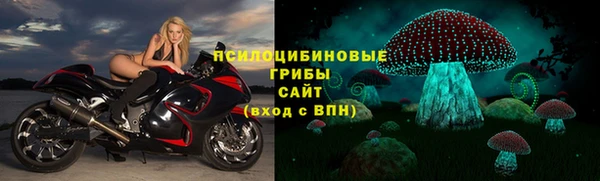 винт Надым